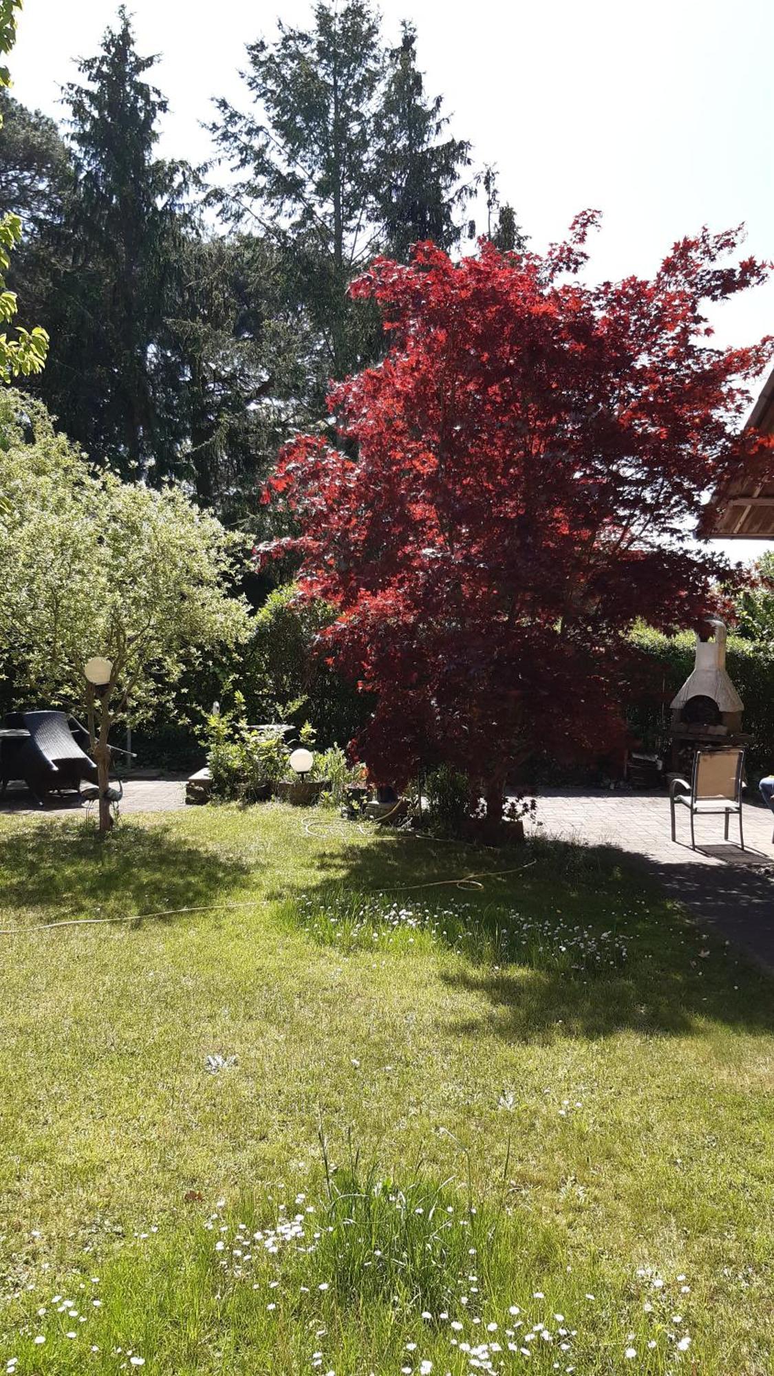 Ferienwohnung Luise, Gemuetlich, Freundlich Und Ganz Nah An Berlin 오라니엔부르크 외부 사진
